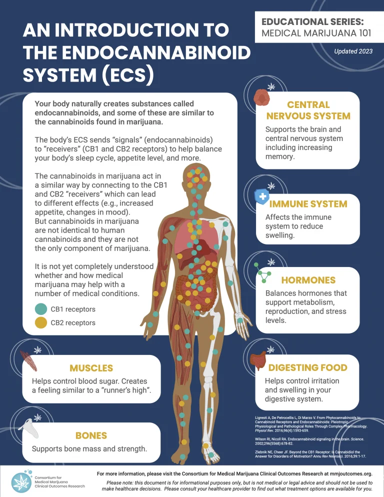 Screenshot of fact sheet titled 'AN INTRODUCTION TO THE ENDOCANNABINOID SYSTEM (ECS)' from the Consortium for Medical Marijuana Clinical Outcomes Research, updated 2023.