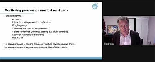 Dr. Cook on Zoom for a chronic pain and medical marijuana webinar