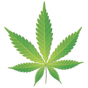 Cartoon graphic of Cannabis Indica leaf