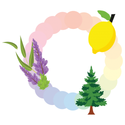 Color dot circle with lemon, pine tree, and lavender flower on the circle