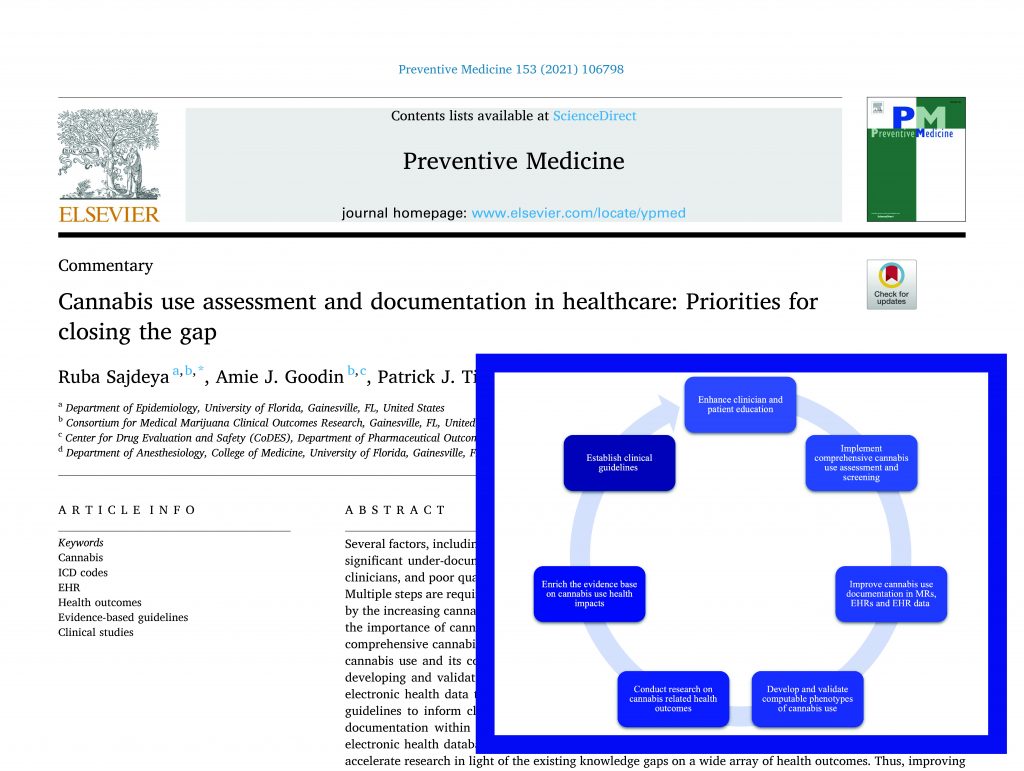 Screenshot of Cannabis Use Assessment journal article, lead by Dr. Ruba Sajdeya and Dr. Amie Goodin