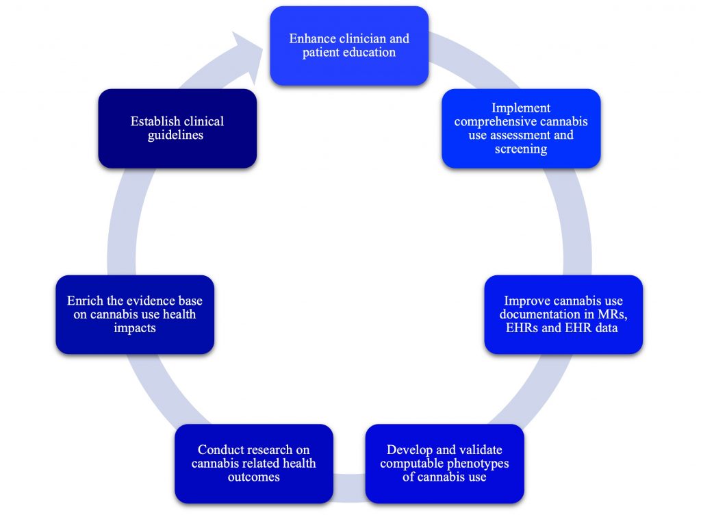 Figure showing the six steps to create a more standardized cannabis use assessment plan